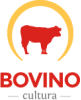 Bovicultura